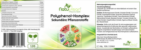 Visualisierung der Interaktion zwischen Polyphenolen und Darmflora – zeigt, wie pflanzliche Polyphenole wie OPC, Quercetin oder Curcumin die Darmbakterienvielfalt fördern, Akkermansia muciniphila unterstützen und durch Fermentation in bioaktive Metaboliten umgewandelt werden.
