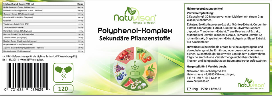 Visualisierung der Interaktion zwischen Polyphenolen und Darmflora – zeigt, wie pflanzliche Polyphenole wie OPC, Quercetin oder Curcumin die Darmbakterienvielfalt fördern, Akkermansia muciniphila unterstützen und durch Fermentation in bioaktive Metaboliten umgewandelt werden.