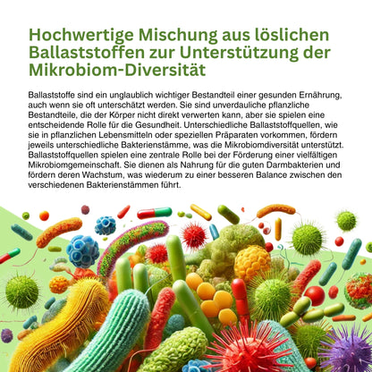 Symbolische Darstellung der stabilen Darmbarriere durch kurzkettige Fettsäuren – zeigt, wie Butyrat die Tight-Junctions stärkt und lösliche Ballaststoffe mit Immunzellen und biologischen Schutzmechanismen interagieren.