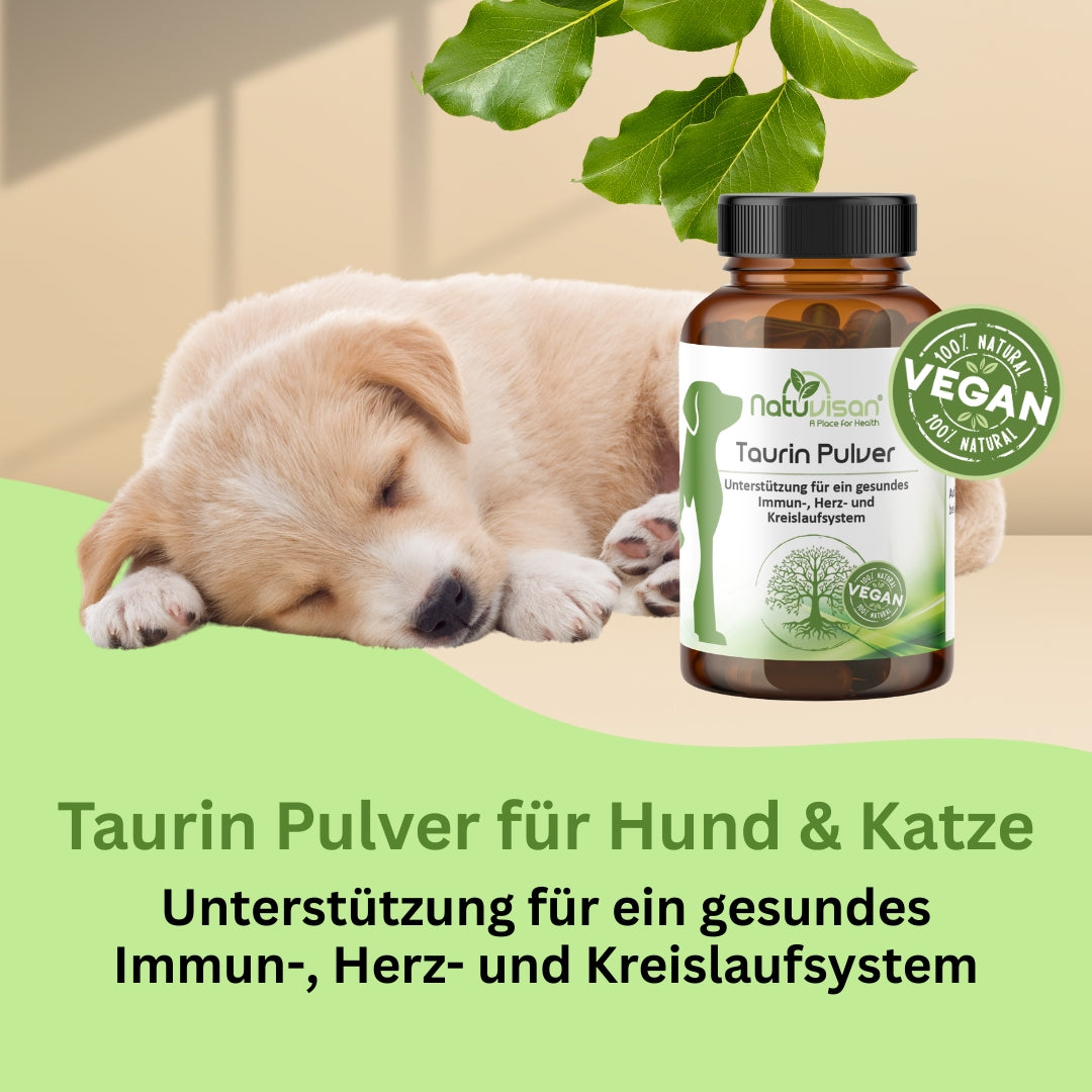 Taurin Pulver für Hunde und Katzen – unterstützt die Herzfunktion, stärkt die Sehkraft, reguliert den Stoffwechsel und trägt zu einem vitalen Immunsystem bei.