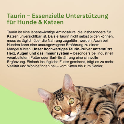Taurin Pulver für Katzen und Hunde – unverzichtbar für die Netzhaut, Herzmuskelkraft und Vitalität, stärkt zudem die Abwehrkräfte und den Stoffwechsel.