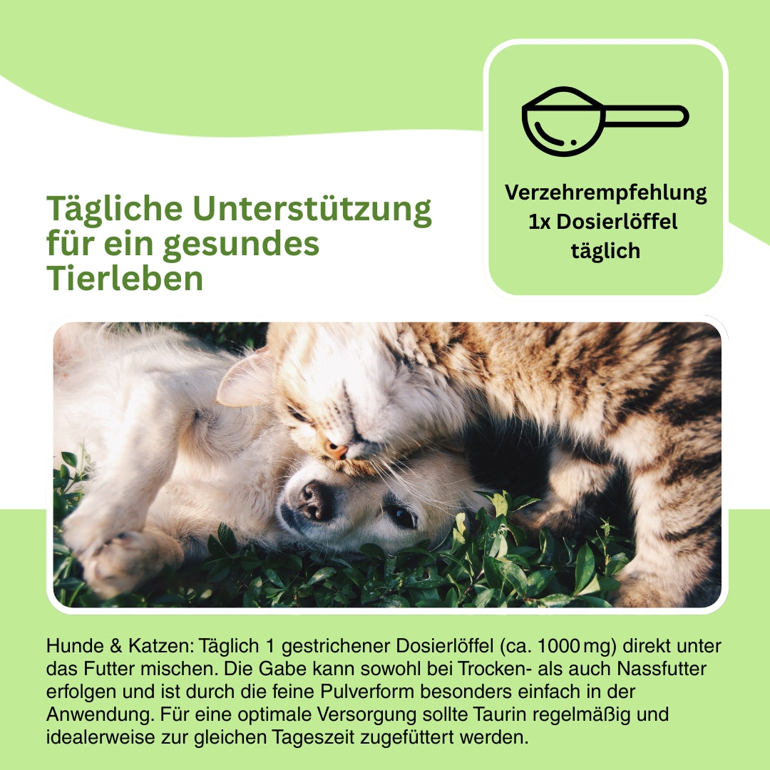 Taurin Ergänzung für Hunde und Katzen – fördert die Zellgesundheit, schützt vor oxidativem Stress und unterstützt eine gesunde Verdauung sowie das Immunsystem.
