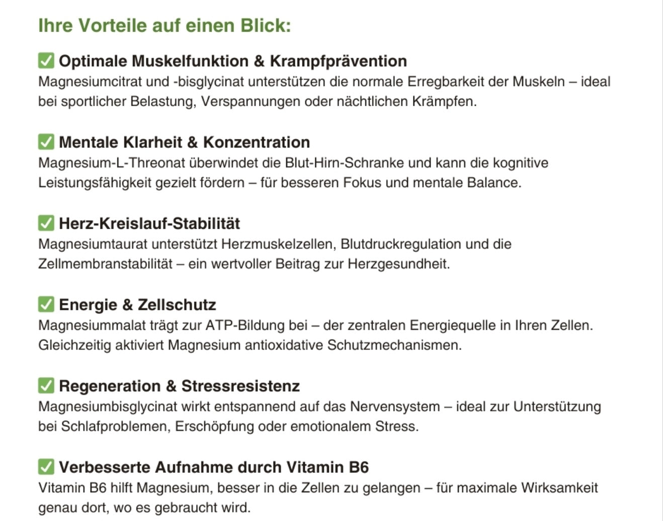 Magnesium Vital Performance Nahrungsergänzung