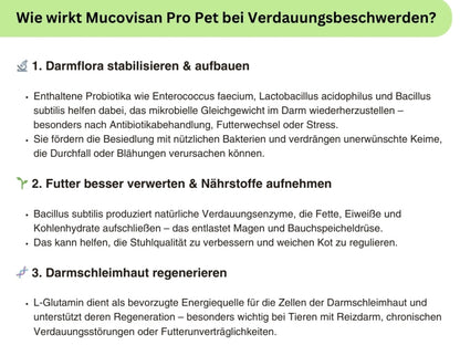 Produktabbildung der Natuvisan Mucovisan Pro Pet Kapseln, speziell entwickelt zur Förderung eines gesunden Verdauungstrakts für Hunde und Katzen.