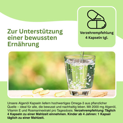 Vegane Omega-3-Kapseln mit hochreinem Algenöl – hochdosiert mit 500 mg DHA + EPA pro Portion, ohne Fischgeschmack und frei von Schadstoffen