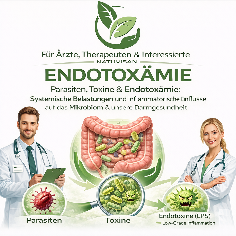 Natuvisan Gesundheitskongress 2026 zu Darm, Mikrobiom und Endotoxämie